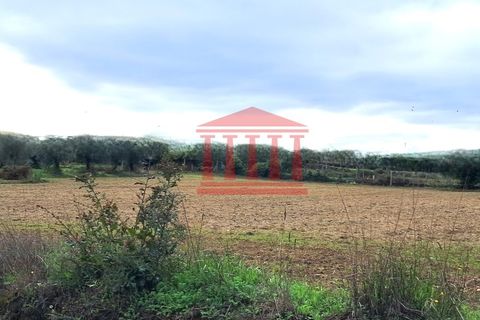 Helårsgrund i Barcelos, Braga, Barcelos - € 165.000 | Ref: 272T001068 - foto 2