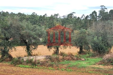Helårsgrund i Barcelos, Braga, Barcelos - € 165.000 | Ref: 272T001068 - foto 3