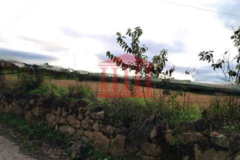 Helårsgrund i Barcelos, Braga, Barcelos - € 165.000 | Ref: 272T001068 - foto 4