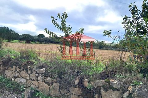 Helårsgrund i Barcelos, Braga, Barcelos - € 165.000 | Ref: 272T001068 - foto 5