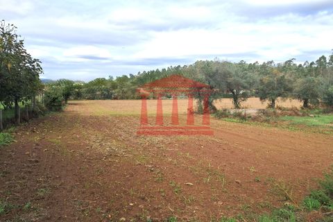Helårsgrund i Barcelos, Braga, Barcelos - € 165.000 | Ref: 272T001068 - foto 6