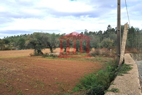 Helårsgrund i Barcelos, Braga, Barcelos - € 165.000 | Ref: 272T001068 - foto 7