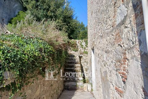 Villa a Massarosa, Lucca, Massarosa - € 100.000 | Ref: M454 - foto 25