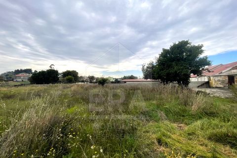 Helårsgrund i Vila Cha, Braga, Vila Cha - € 60.500 | Ref: 039250165 - foto 5