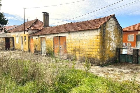 Villa i Vila Cha, Braga, Vila Cha - € 127.500 | Ref: 039250163 - foto 7