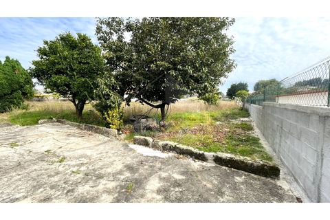 Villa i Vila Cha, Braga, Vila Cha - € 127.500 | Ref: 039250163 - foto 8