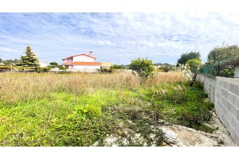 Terra a Vila Cha, Braga, Vila Cha - € 65.500 | Ref: 039250164 - foto 3