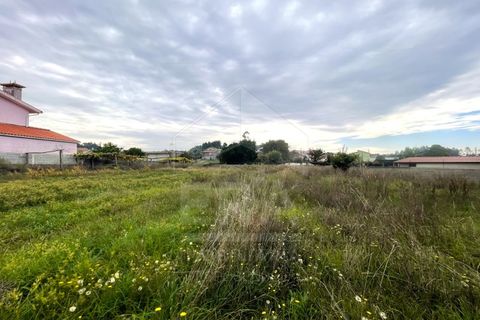 Terra a Vila Cha, Braga, Vila Cha - € 65.500 | Ref: 039250164 - foto 5