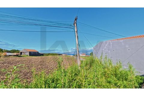 Villa i Se, Madeira, Se - € 145.000 | Ref: KWPT-023352 - foto 5