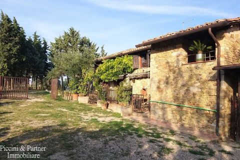 Villa a Marsciano, Perugia, Marsciano - € 299.000 | Ref: PG1887 - foto 4