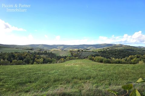 Villa a Marsciano, Perugia, Marsciano - € 299.000 | Ref: PG1887 - foto 6