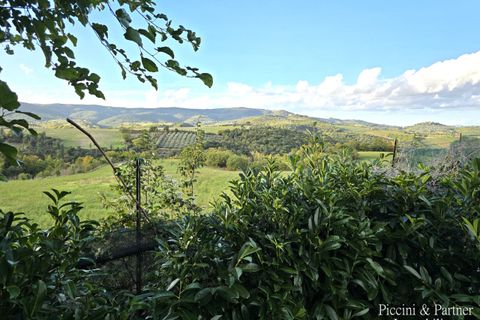 Villa a Marsciano, Perugia, Marsciano - € 299.000 | Ref: PG1887 - foto 46
