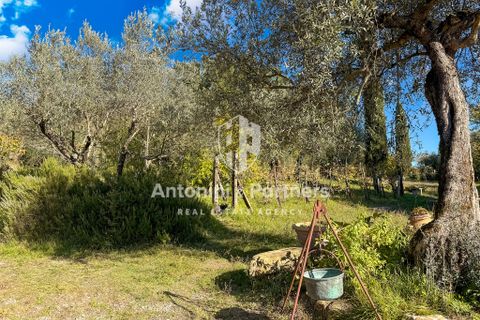 Villa i Perugia, Perugia, Perugia - € 295.000 | Ref: 70443 - foto 35