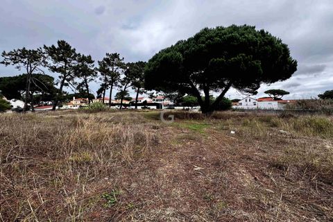 Helårsgrund i Almocageme, Lisbon, Almocageme - € 1.495.000 | Ref: TER_10225 - foto 8