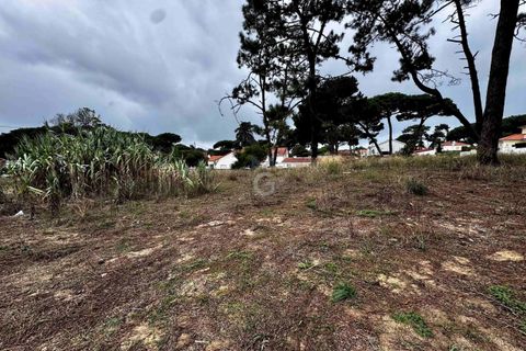 Helårsgrund i Almocageme, Lisbon, Almocageme - € 1.495.000 | Ref: TER_10225 - foto 11