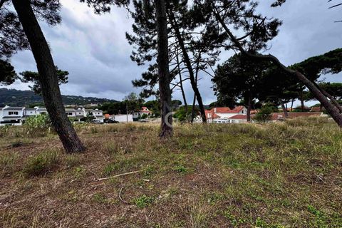 Helårsgrund i Almocageme, Lisbon, Almocageme - € 1.495.000 | Ref: TER_10225 - foto 12