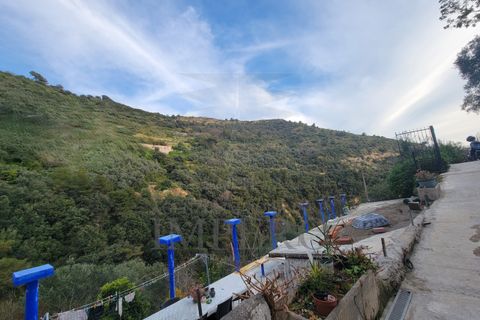 Byhus i Ventimiglia, Imperia, Ventimiglia - € 85.000 | Ref: 23575 - foto 2