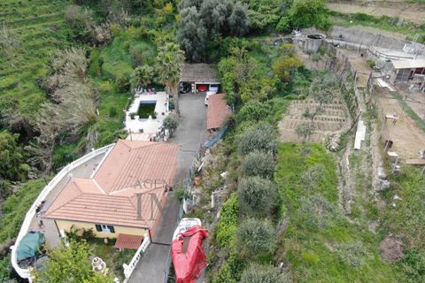 Villa i Ventimiglia, Imperia, Ventimiglia - € 1.500.000 | Ref: 23576 - foto 16