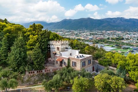 Villa i Albenga, Savona, Albenga - € 1.750.000 | Ref: ILI1636 - foto 4