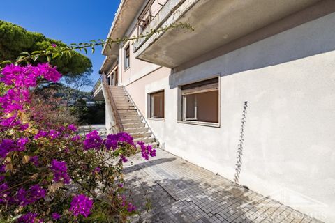 Villa i Bordighera, Imperia, Bordighera - € 1.650.000 | Ref: AG-DOM 5236 - foto 2