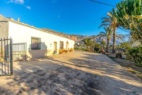 Finca i Orihuela, Alicante, Orihuela - € 250.000 | Ref: MCO-25529 - foto 24