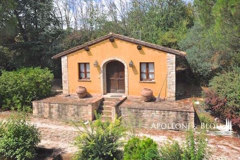 Villa i Perugia, Perugia, Perugia - € 1.150.000 | Ref: PER1273-688073 - foto 46