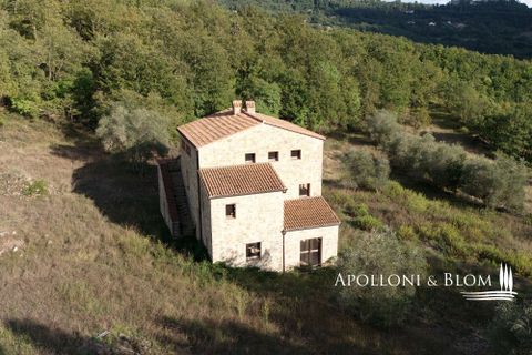 Villa i Parrano, Terni, Parrano - € 680.000 | Ref: TRN3075-688566 - foto 3