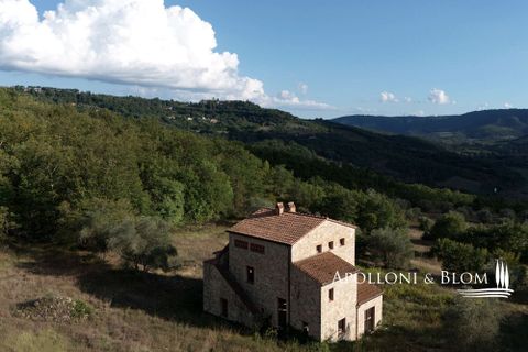 Villa i Parrano, Terni, Parrano - € 680.000 | Ref: TRN3075-688566 - foto 5