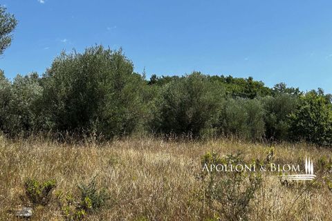 Villa i Parrano, Terni, Parrano - € 680.000 | Ref: TRN3075-688566 - foto 6