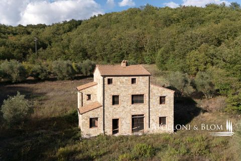 Villa i Parrano, Terni, Parrano - € 680.000 | Ref: TRN3075-688566 - foto 38