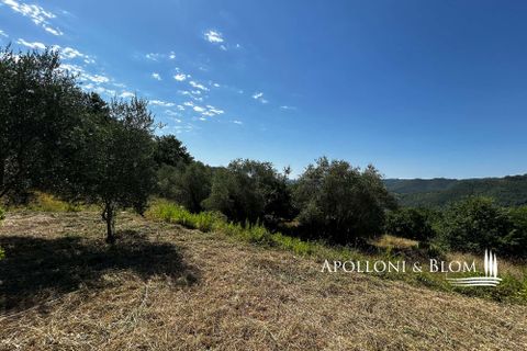 Villa i Parrano, Terni, Parrano - € 680.000 | Ref: TRN3075-688566 - foto 42