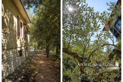 Byhus i Trequanda, Siena, Trequanda - € 420.000 | Ref: TRQ3251-689019 - foto 37