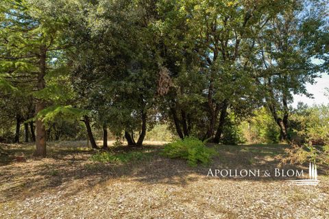 Byhus i Trequanda, Siena, Trequanda - € 420.000 | Ref: TRQ3251-689019 - foto 44