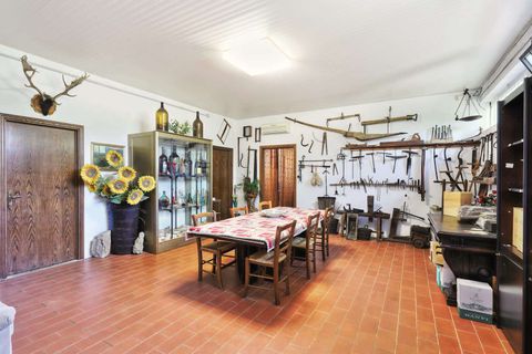 Landejendom i Terni, Terni, Terni - € 1.950.000 | Ref: TSGMGAVC-726732 - foto 13