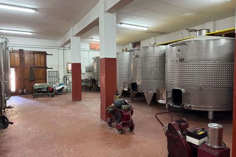 Landejendom i Terni, Terni, Terni - € 1.950.000 | Ref: TSGMGAVC-726732 - foto 32