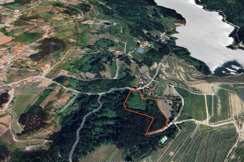 Helårsgrund i Penafiel, Porto, Penafiel - € 60.000 | Ref: TER_189 - foto 11