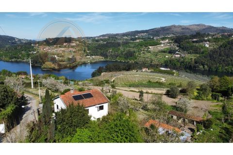 Helårsgrund i Penafiel, Porto, Penafiel - € 60.000 | Ref: TER_189 - foto 1