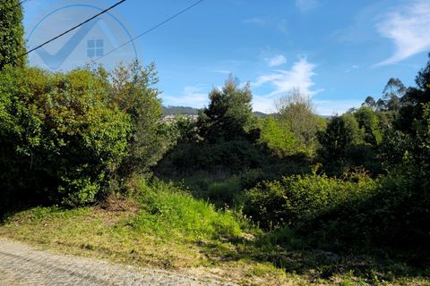 Helårsgrund i Penafiel, Porto, Penafiel - € 60.000 | Ref: TER_189 - foto 2