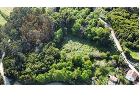 Helårsgrund i Penafiel, Porto, Penafiel - € 60.000 | Ref: TER_189 - foto 3