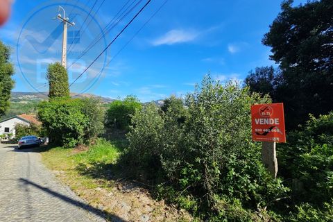Helårsgrund i Penafiel, Porto, Penafiel - € 60.000 | Ref: TER_189 - foto 5
