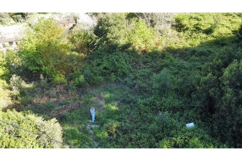 Helårsgrund i Penafiel, Porto, Penafiel - € 60.000 | Ref: TER_189 - foto 7