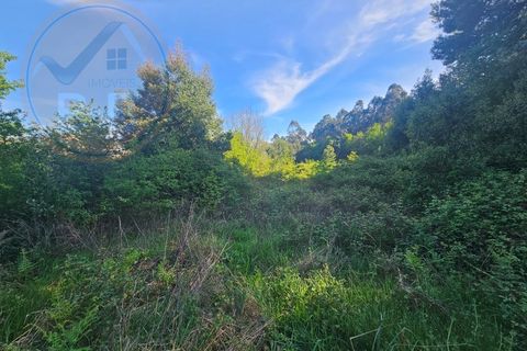 Helårsgrund i Penafiel, Porto, Penafiel - € 60.000 | Ref: TER_189 - foto 8