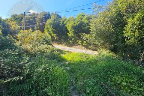 Helårsgrund i Penafiel, Porto, Penafiel - € 60.000 | Ref: TER_189 - foto 9