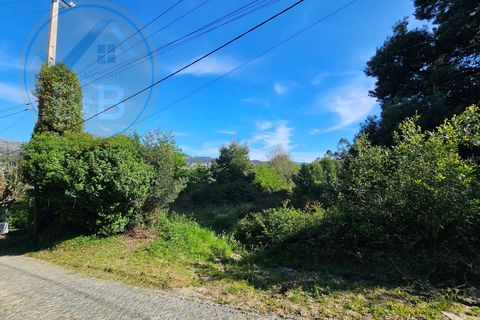 Helårsgrund i Penafiel, Porto, Penafiel - € 60.000 | Ref: TER_189 - foto 10