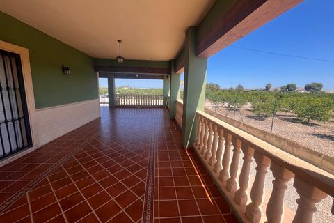 Finca i Daya Nueva, Alicante, Daya Nueva - € 529.000 | Ref: MCO-39371 - foto 7