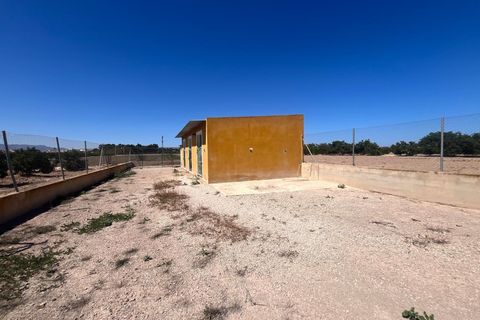 Finca i Daya Nueva, Alicante, Daya Nueva - € 529.000 | Ref: MCO-39371 - foto 26