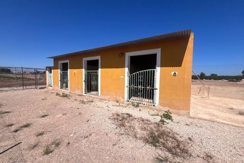 Finca i Daya Nueva, Alicante, Daya Nueva - € 529.000 | Ref: MCO-39371 - foto 33