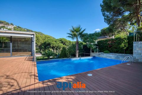 Villa i Blanes, Gerona, Blanes - € 1 300 000 | Ref: 12085 - foto 26