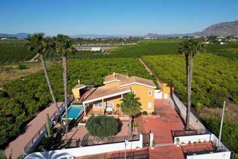 Villa i Orihuela, Alicante, Orihuela - € 675.000 | Ref: MCO-95657 - foto 14