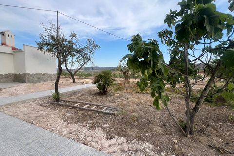 Villa a La Solana, Alicante, La Solana - € 235.000 | Ref: MCO-39169 - foto 10